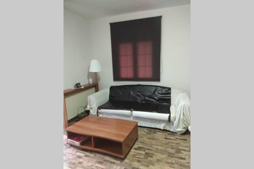 The Stone House Apartment Kozani Ngoại thất bức ảnh