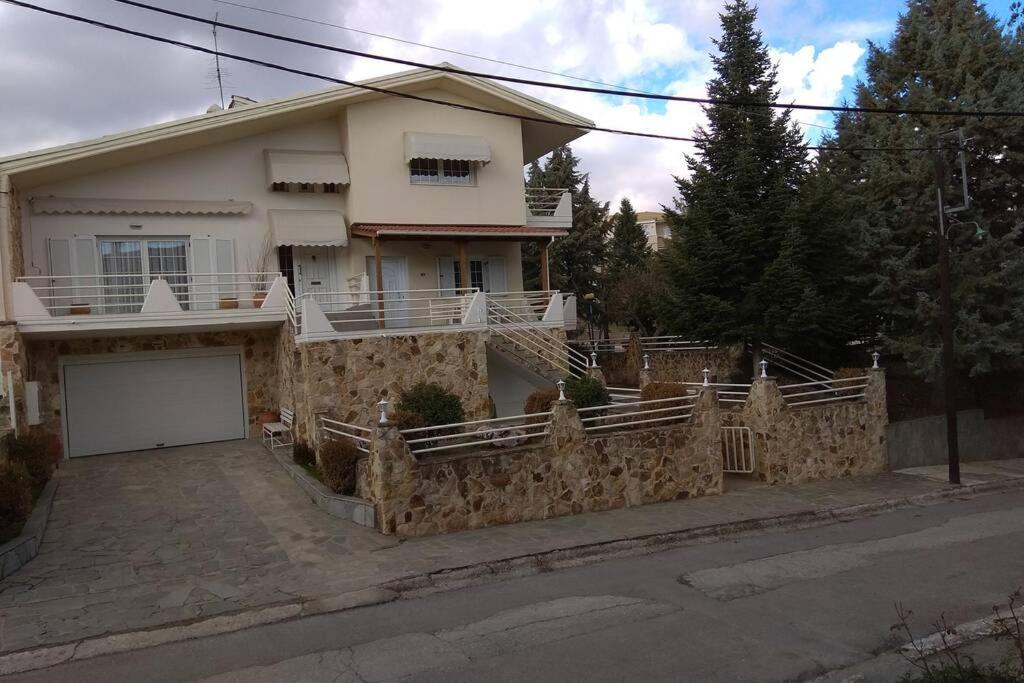 The Stone House Apartment Kozani Ngoại thất bức ảnh