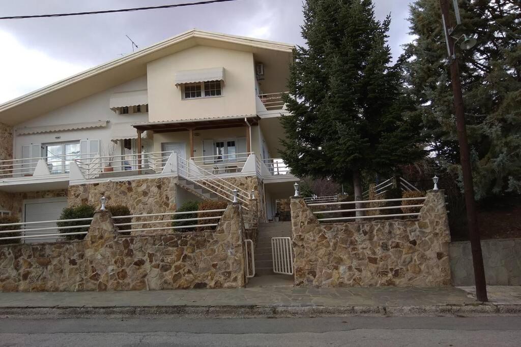The Stone House Apartment Kozani Ngoại thất bức ảnh